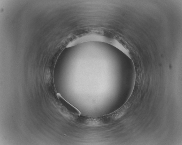 X0000084010704200703022031