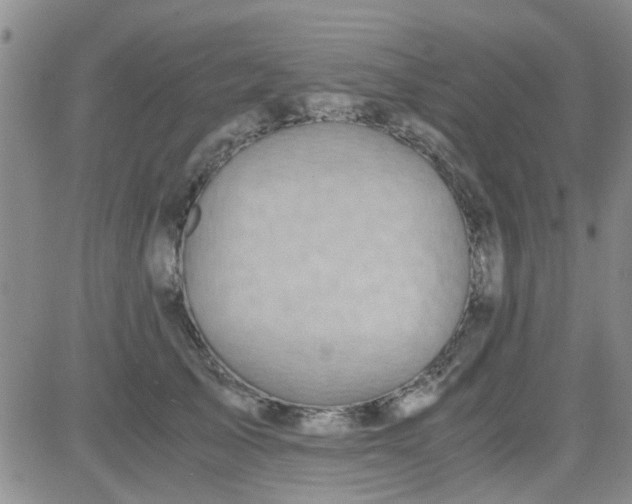 X0000084010705200703022031