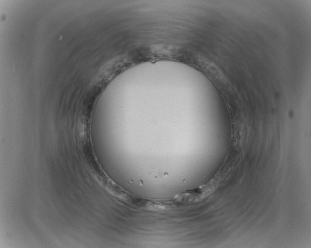 X0000084010706200703022031