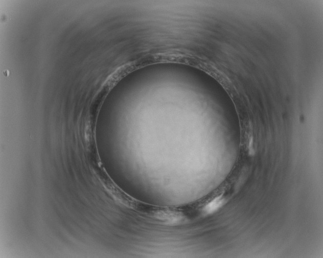 X0000084010708200703022031