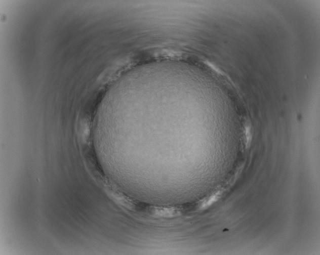 X0000084010709200703022031