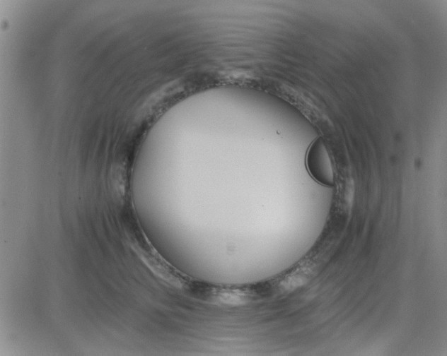 X0000084010710200703022031