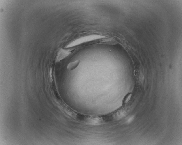 X0000084010711200703022031