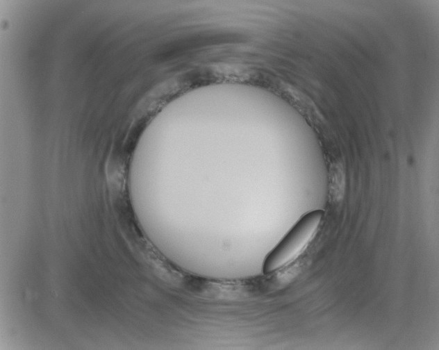 X0000084010713200703022031