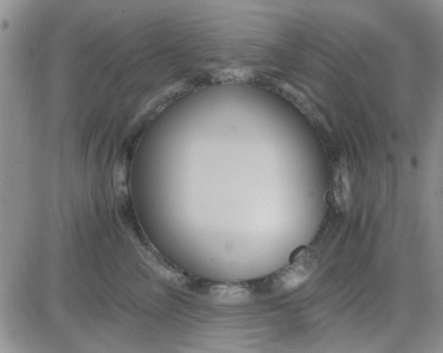 X0000084010714200703022031