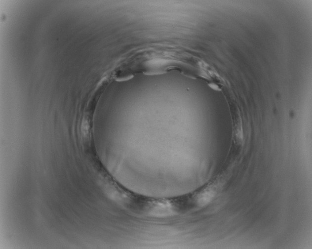 X0000084010715200703022031