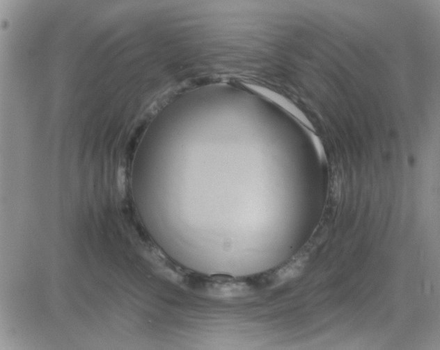 X0000084010716200703022031