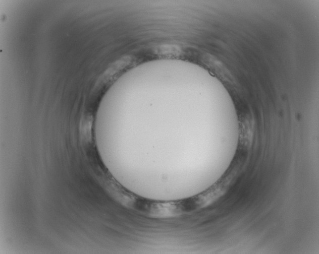 X0000084010717200703022031