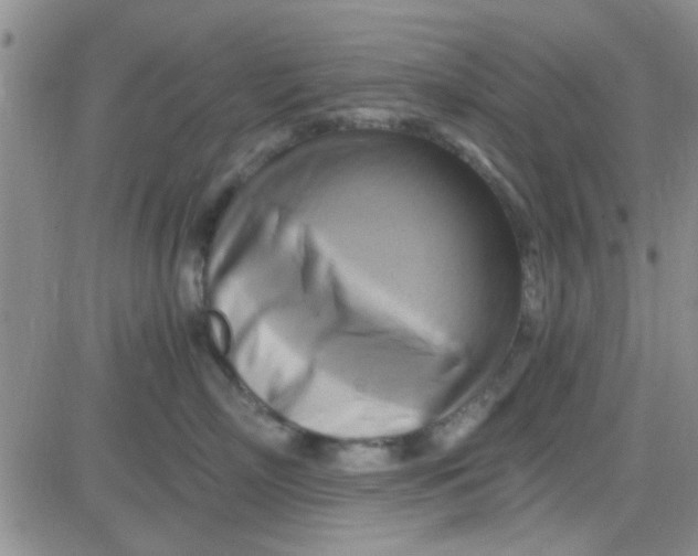 X0000084010718200703022031