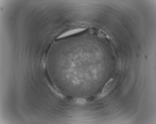 X0000084010719200703022031