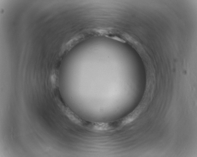 X0000084010720200703022031