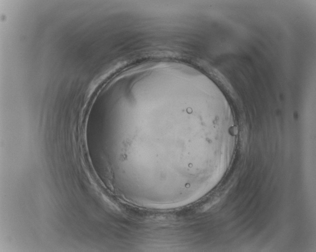 X0000084010721200703022030