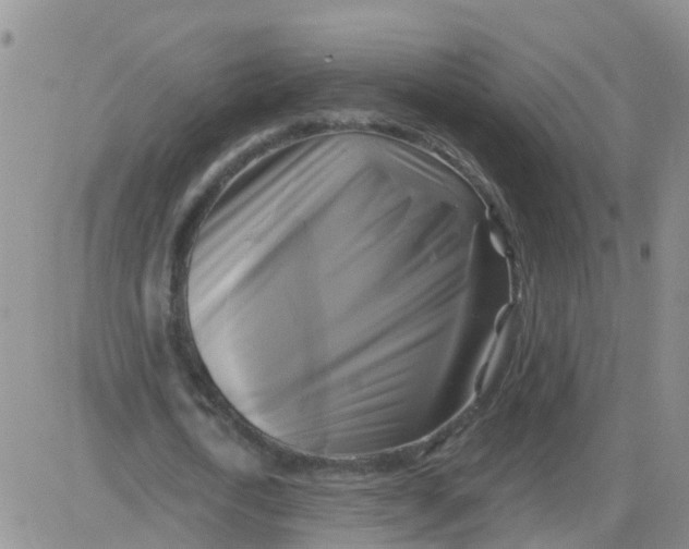 X0000084010722200703022030