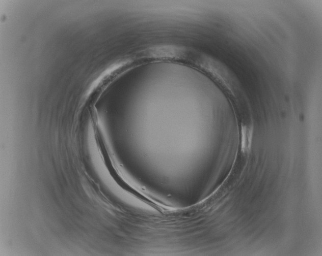 X0000084010723200703022030