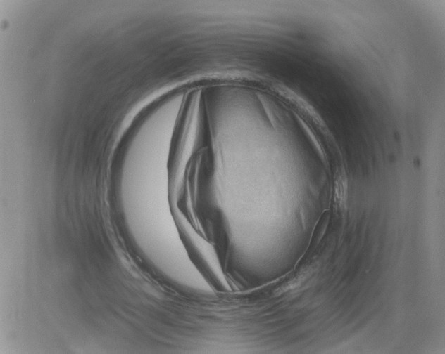 X0000084010724200703022030