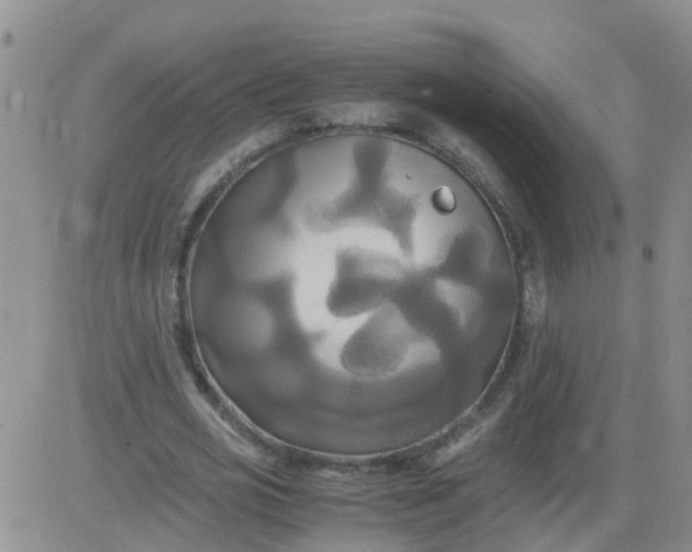 X0000084010725200703022030