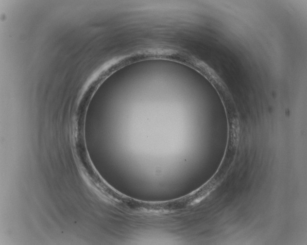 X0000084010726200703022030