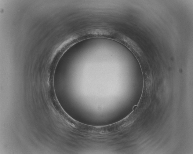 X0000084010727200703022030