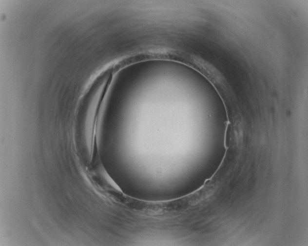 X0000084010728200703022030