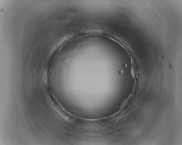 X0000084010729200703022030