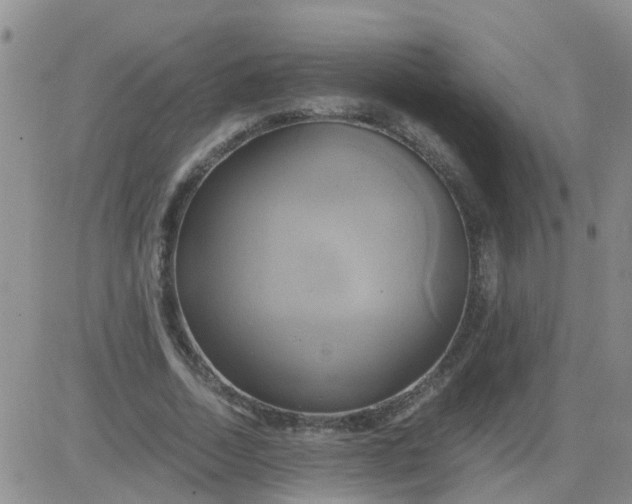 X0000084010730200703022030