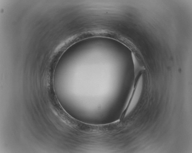 X0000084010732200703022030