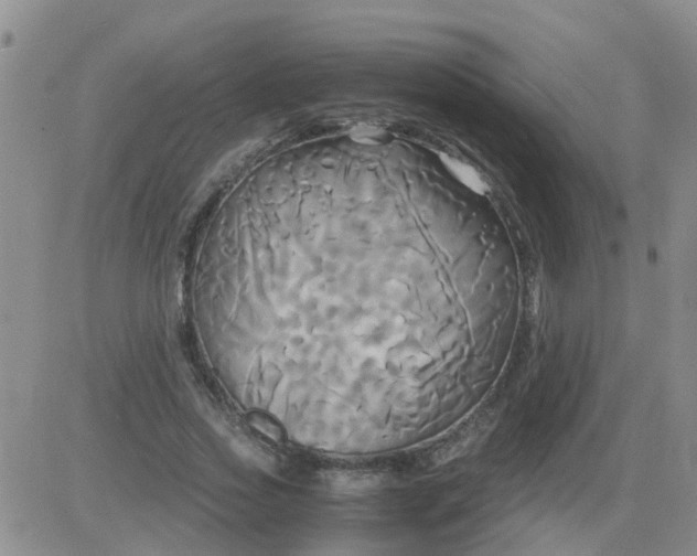 X0000084010733200703022030