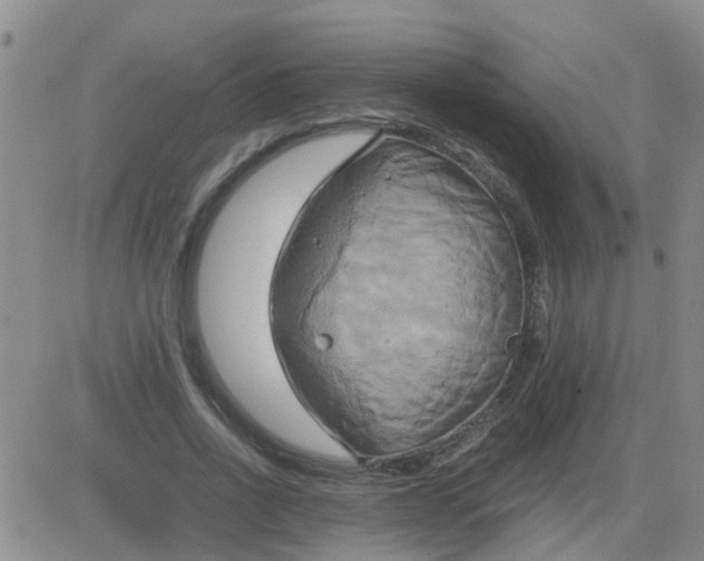 X0000084010734200703022030