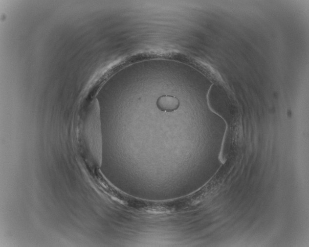 X0000084010736200703022030