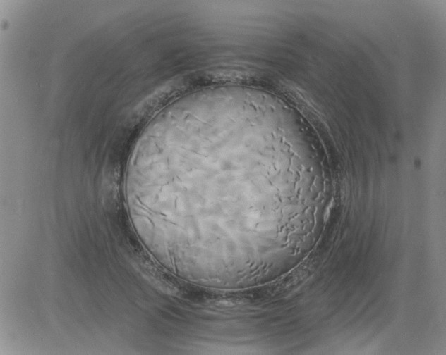 X0000084010737200703022030