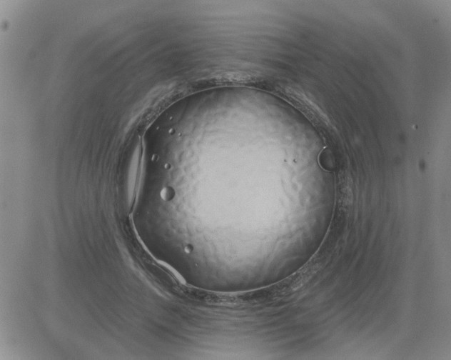 X0000084010738200703022030