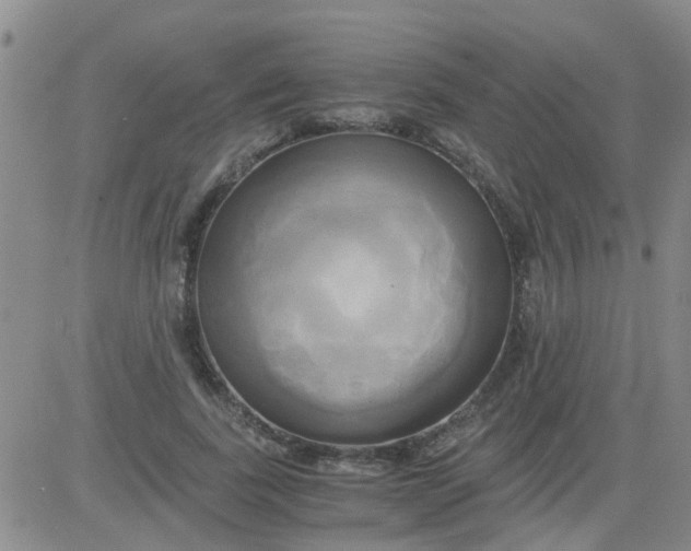 X0000084010739200703022030