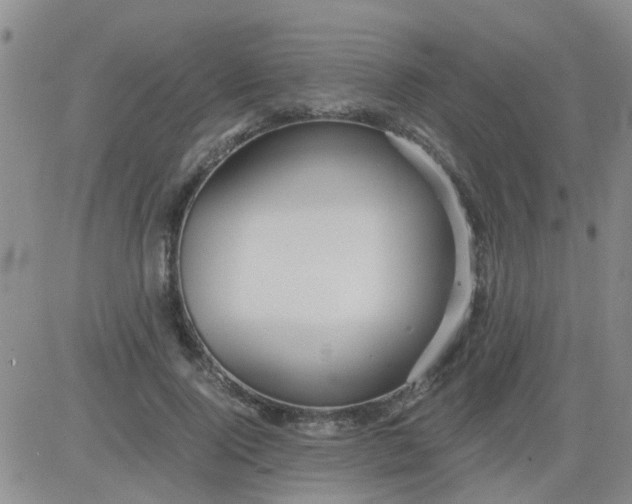 X0000084010740200703022030