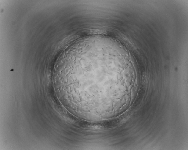 X0000084010741200703022031