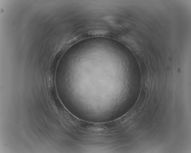 X0000084010743200703022031