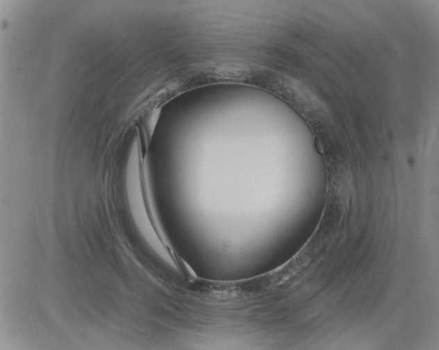 X0000084010744200703022031