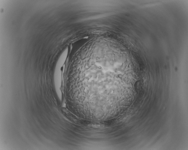 X0000084010745200703022031