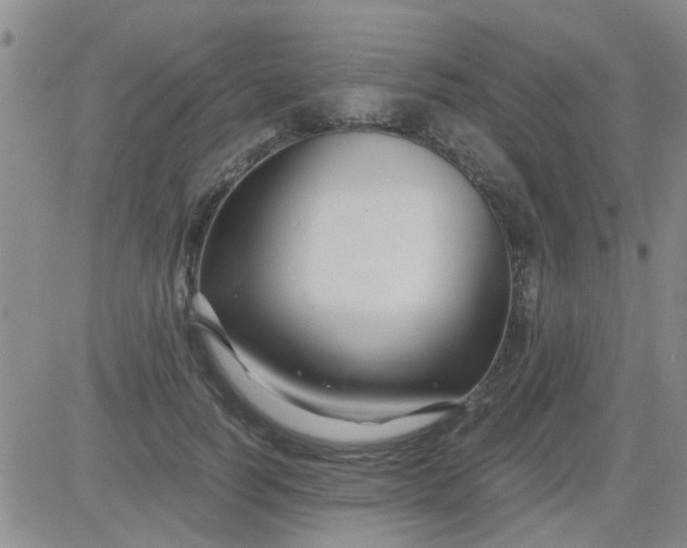 X0000084010746200703022031