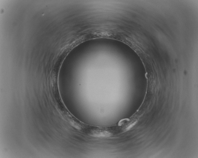 X0000084010747200703022031