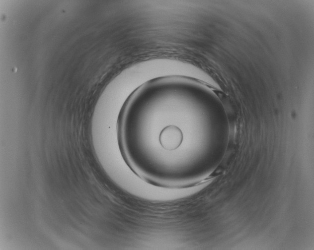 X0000084010750200703022031