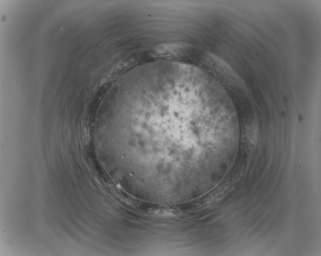 X0000084010751200703022031