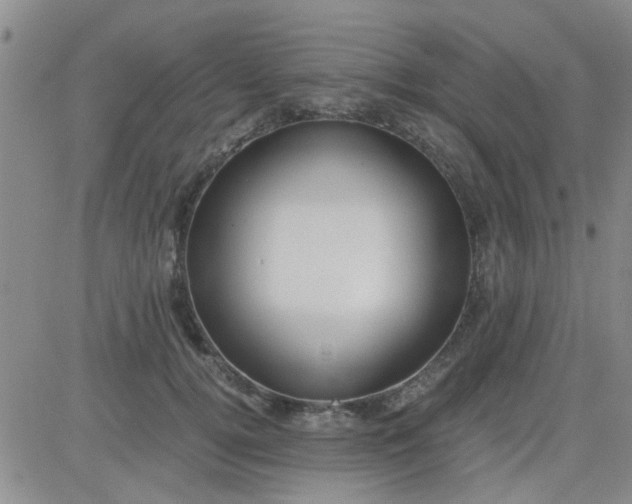 X0000084010752200703022031