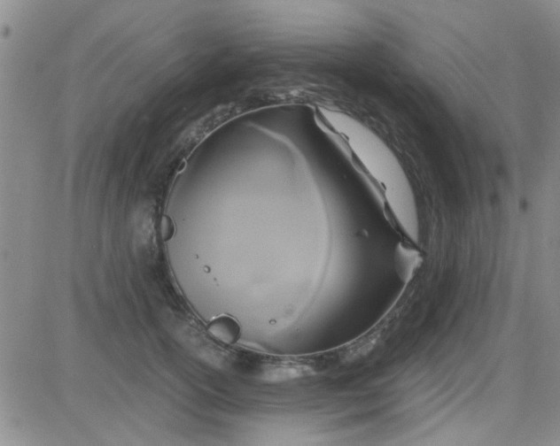 X0000084010754200703022031