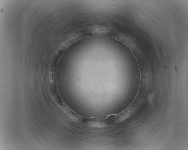 X0000084010755200703022031