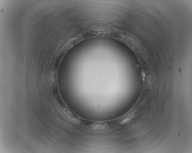 X0000084010756200703022031