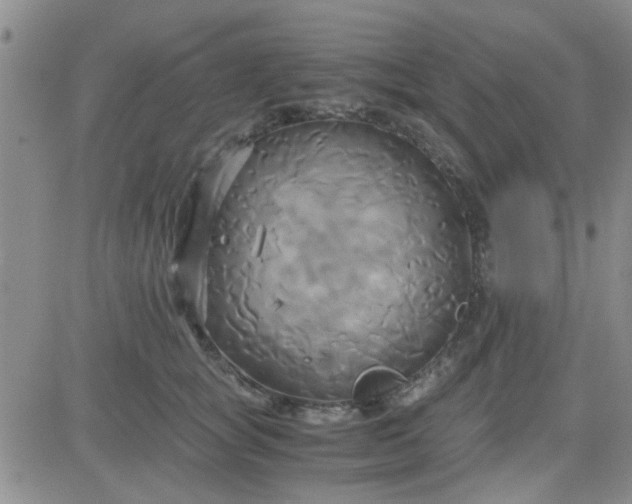 X0000084010757200703022031