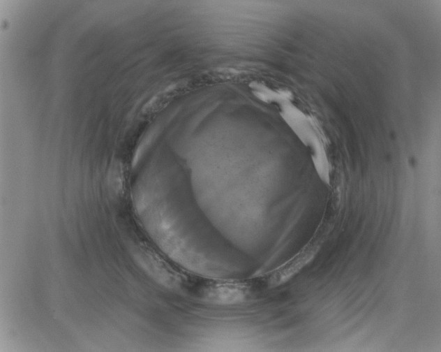 X0000084010758200703022031