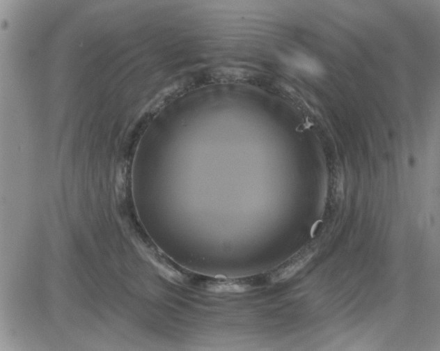 X0000084010759200703022031