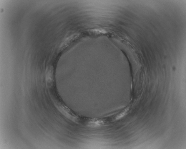 X0000084010760200703022031