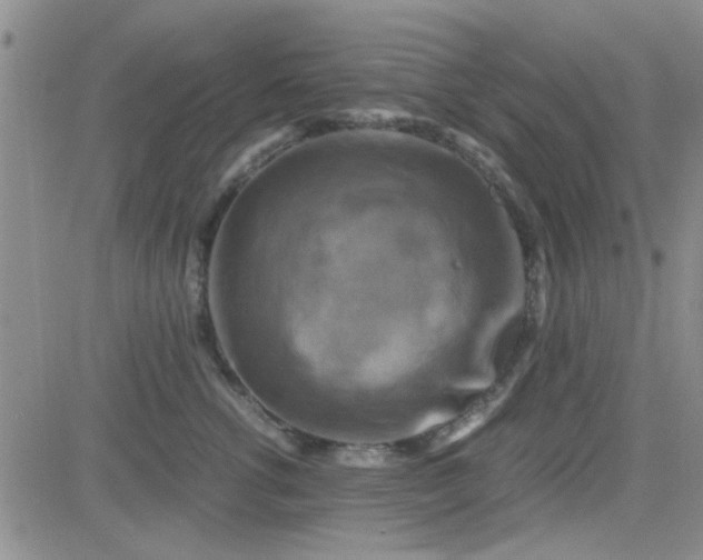 X0000084010762200703022031